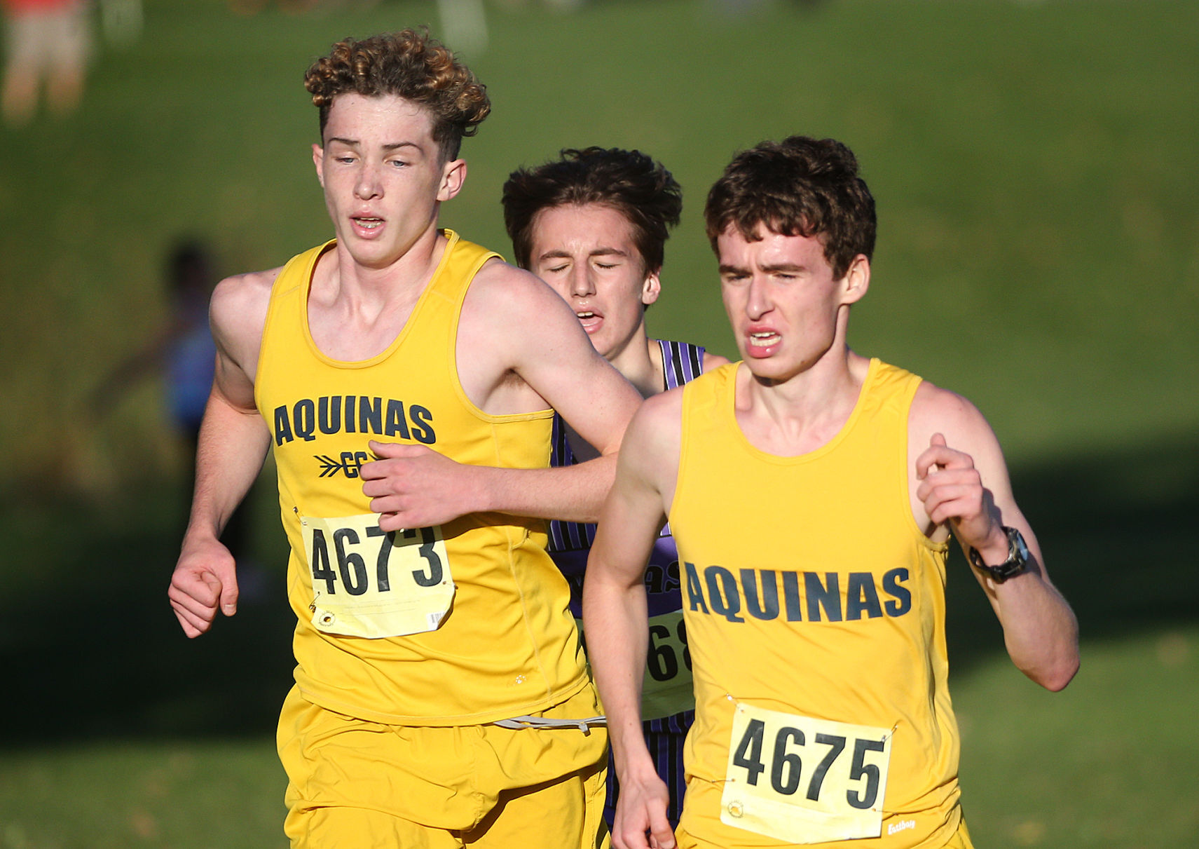 October 14: MVC Cross Country Championships